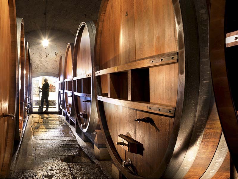 Château Maison Blanche Yvorne La cave